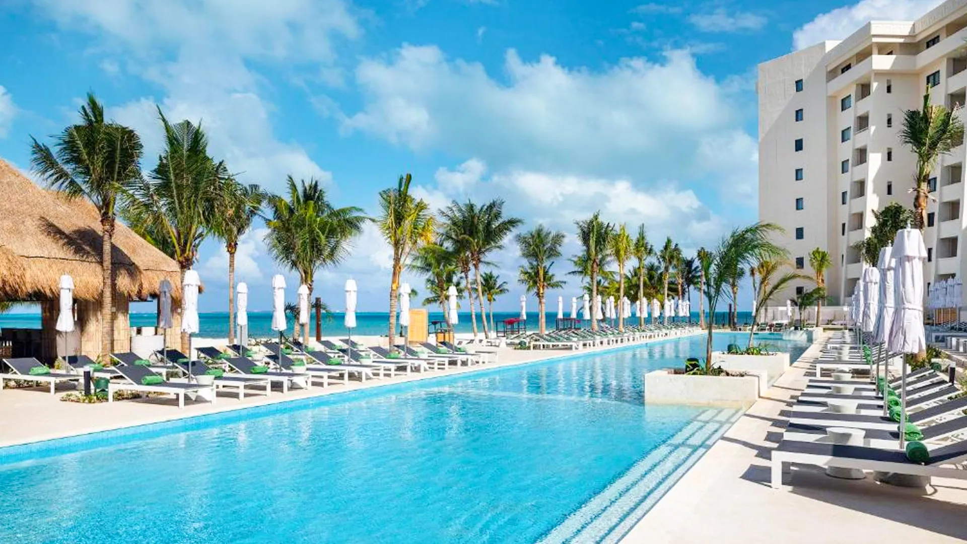 Infinity pool lined with palm trees at a beachfront luxury hotel with ocean views in the background.