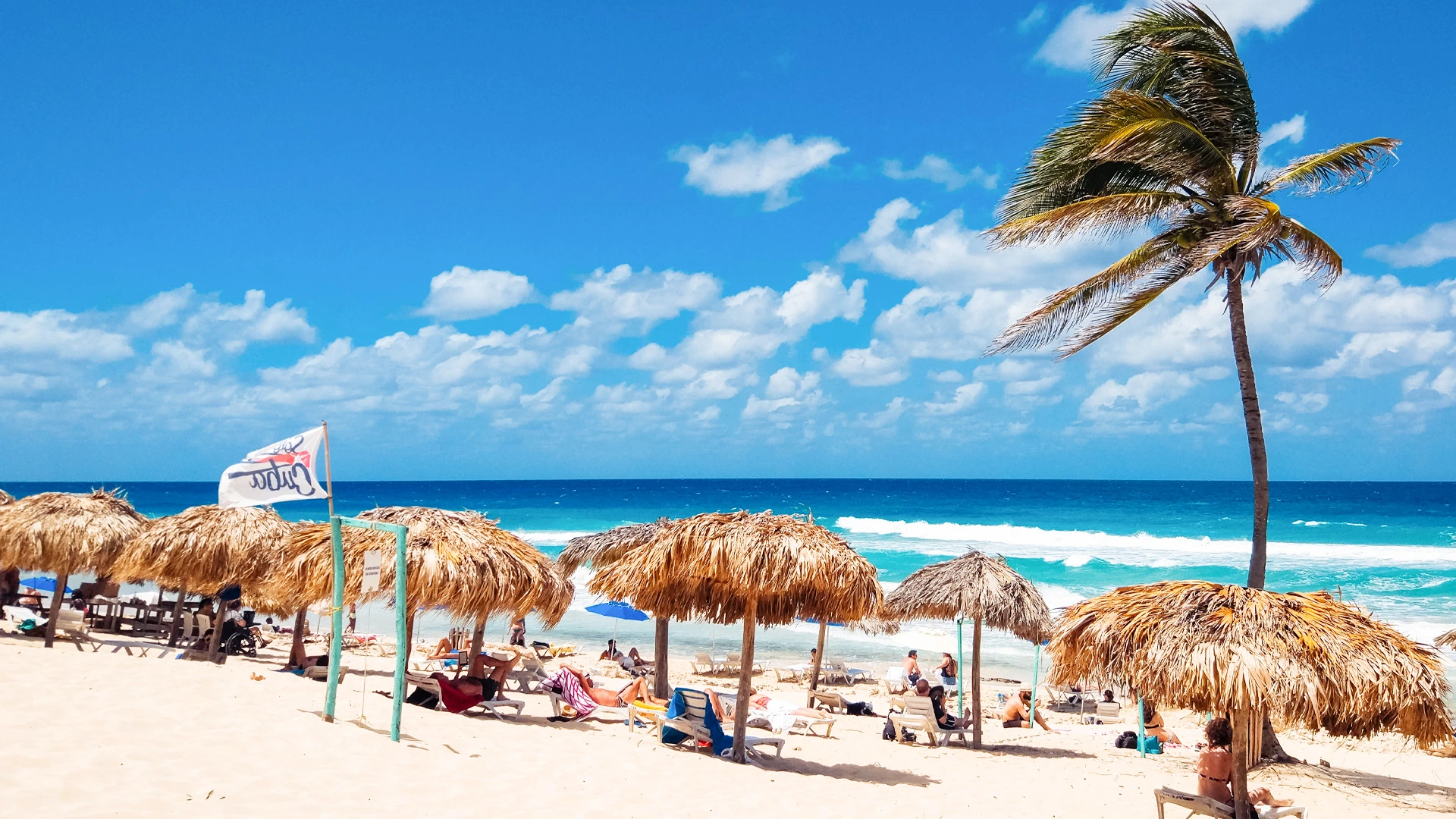 Palm trees and palapa umbrellas on the beach at Royalton Chic Cancun with turquoise Caribbean waves and a bright blue sky.