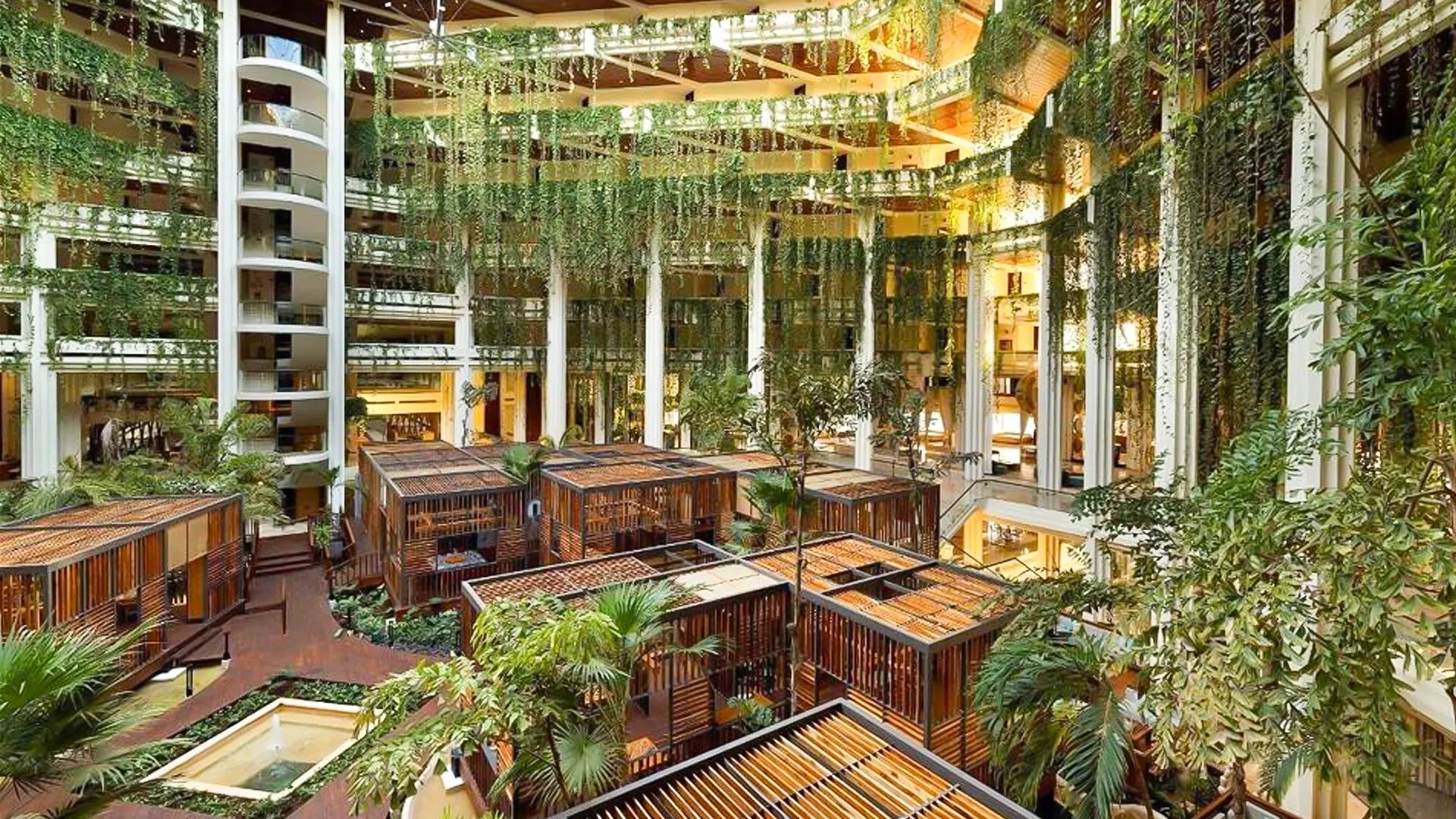 Resort Location & First Impressions
