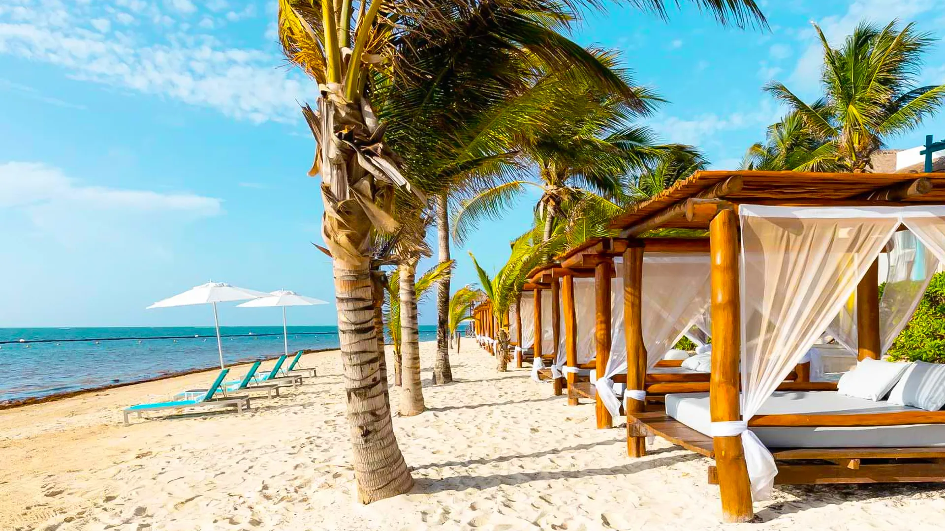 Margaritaville Cancun