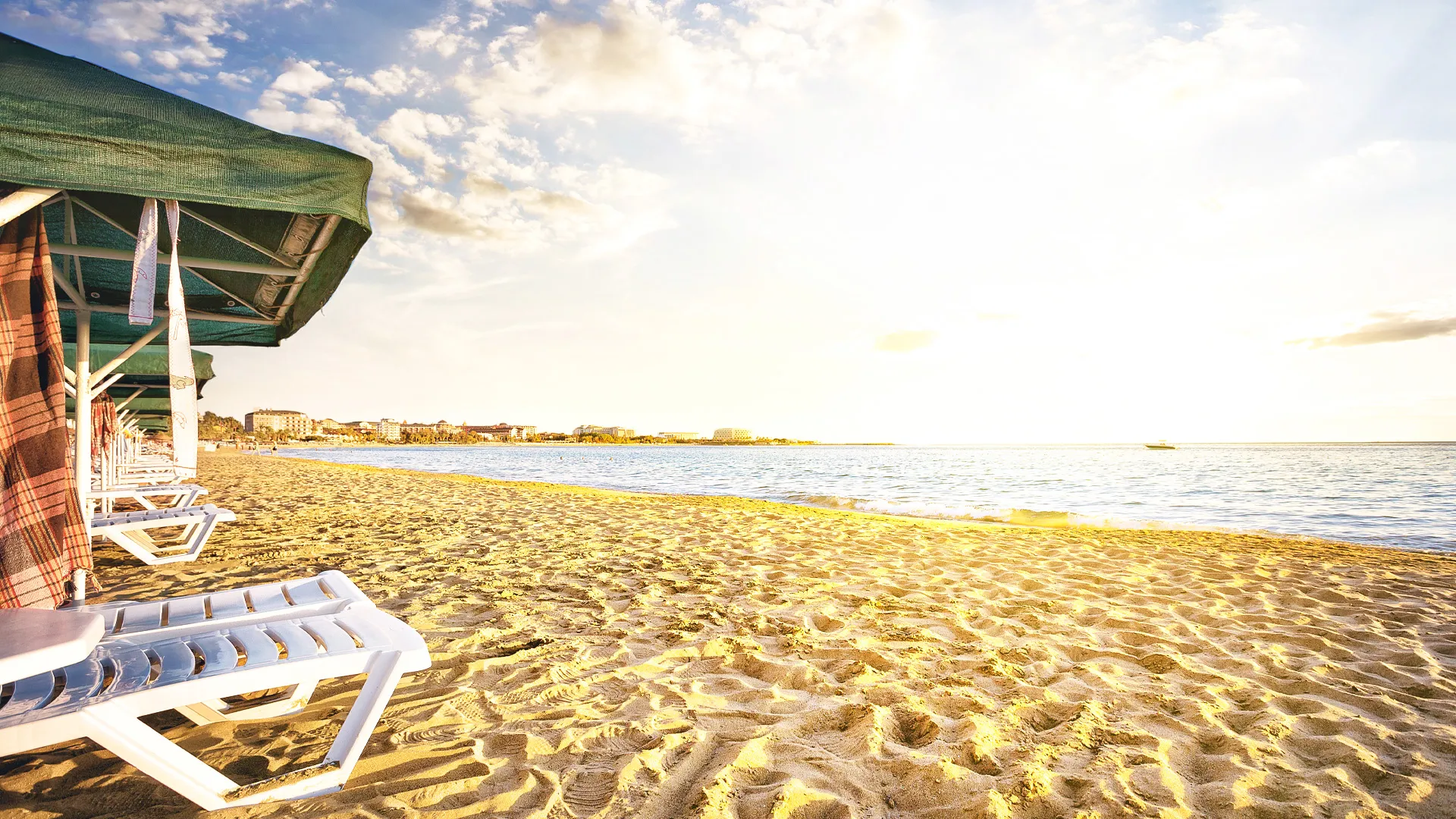 Beach Experience – Current Seaweed Conditions & Alternatives