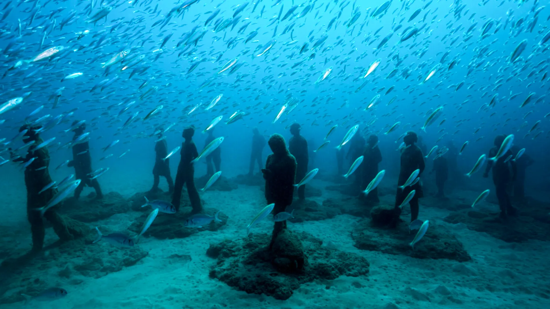 An underwater arrangement of multiple statues of human figures on a sandy ocean floor, with a scuba diver positioned centrally in a clear blue environment.
