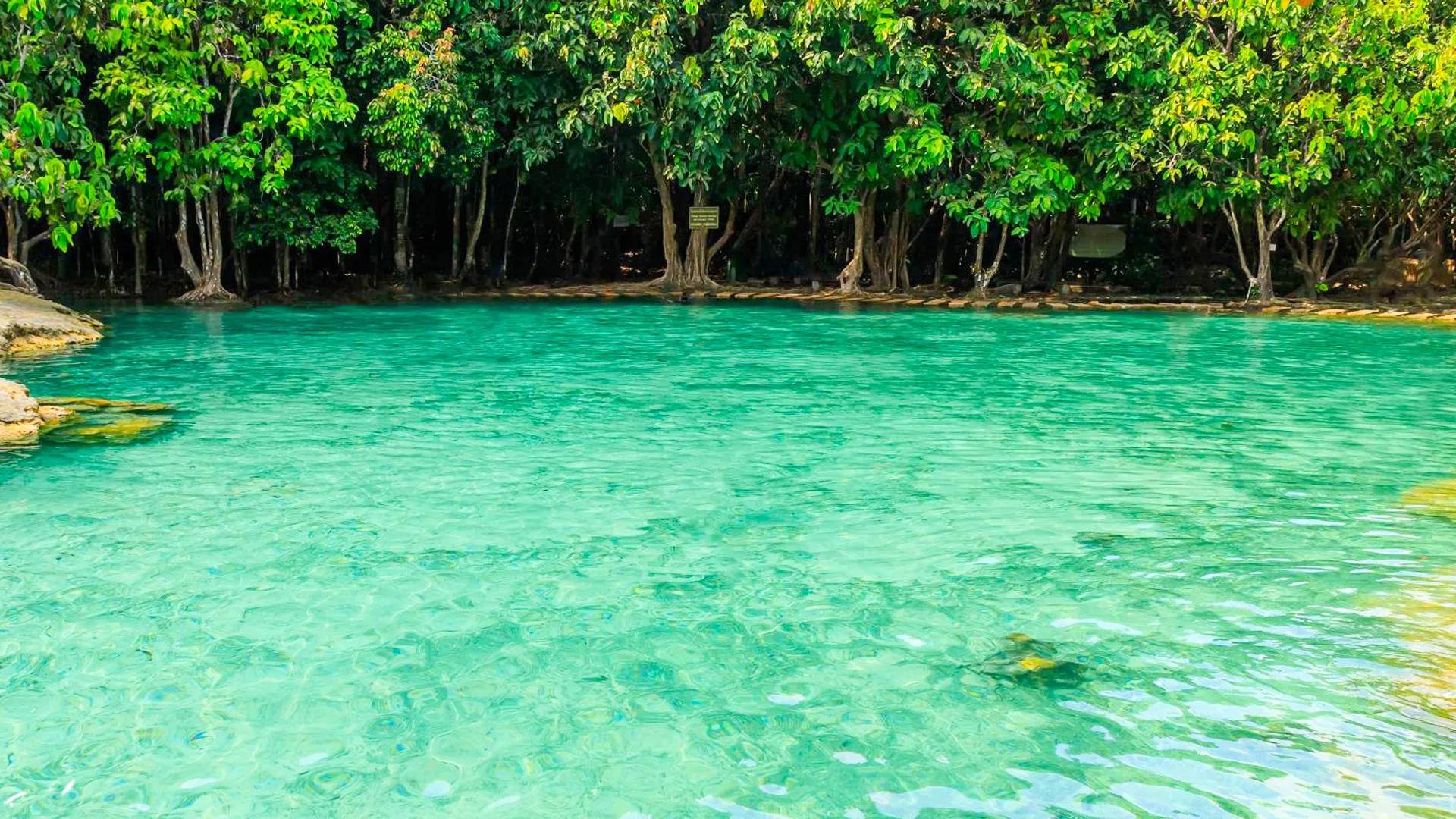 Best Time to Visit Nichupté Lagoon 