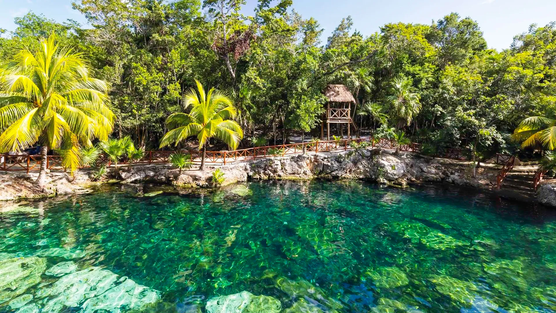 Cenotes