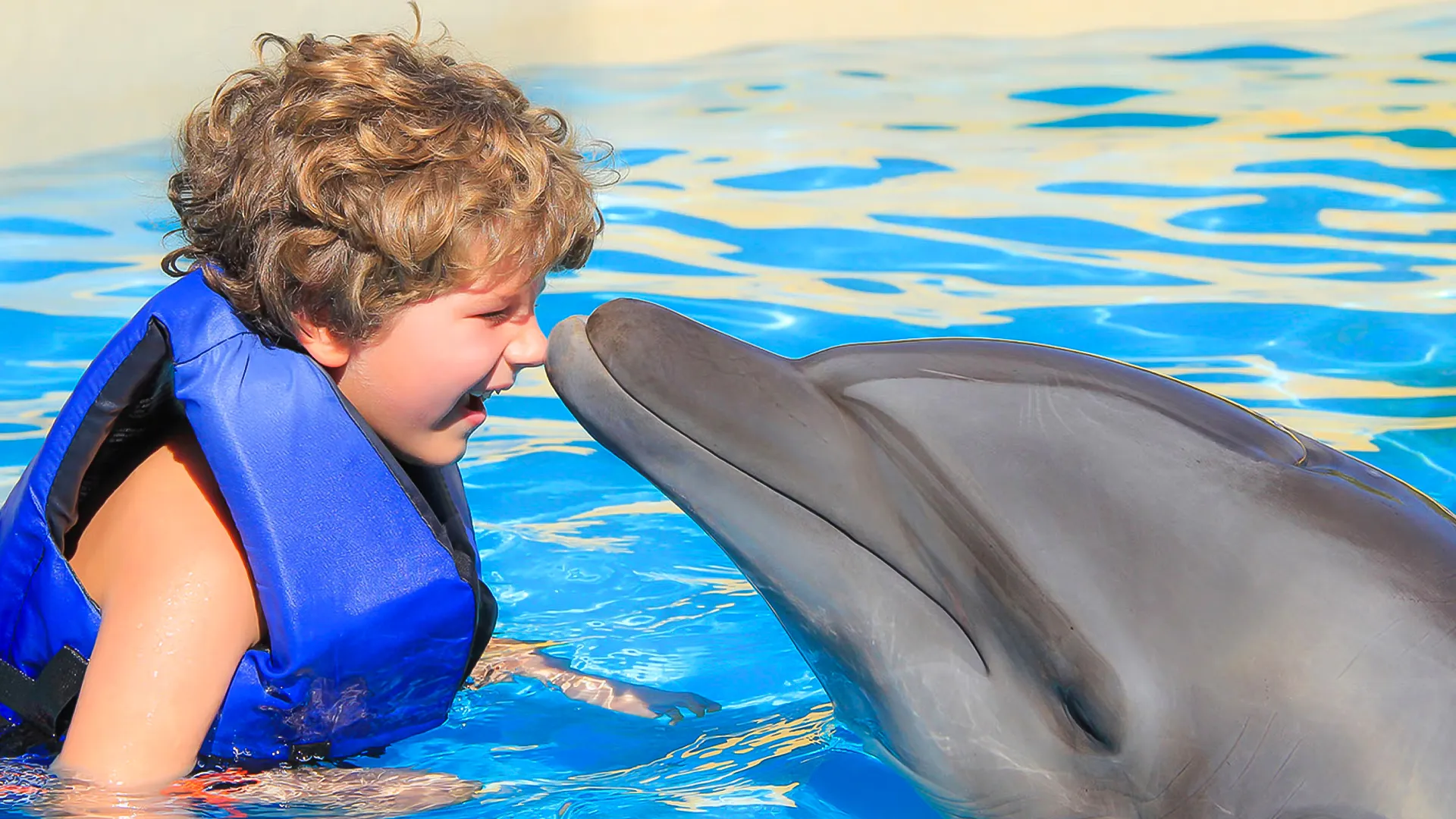 Is Swimming with Dolphins at Ventura Park Ethical?