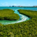 The Ultimate Insider Guide to Nichupté Lagoon Cancun: Tours, Wildlife & Experiences