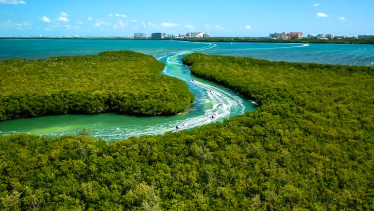 The Ultimate Insider Guide to Nichupté Lagoon Cancun: Tours, Wildlife & Experiences