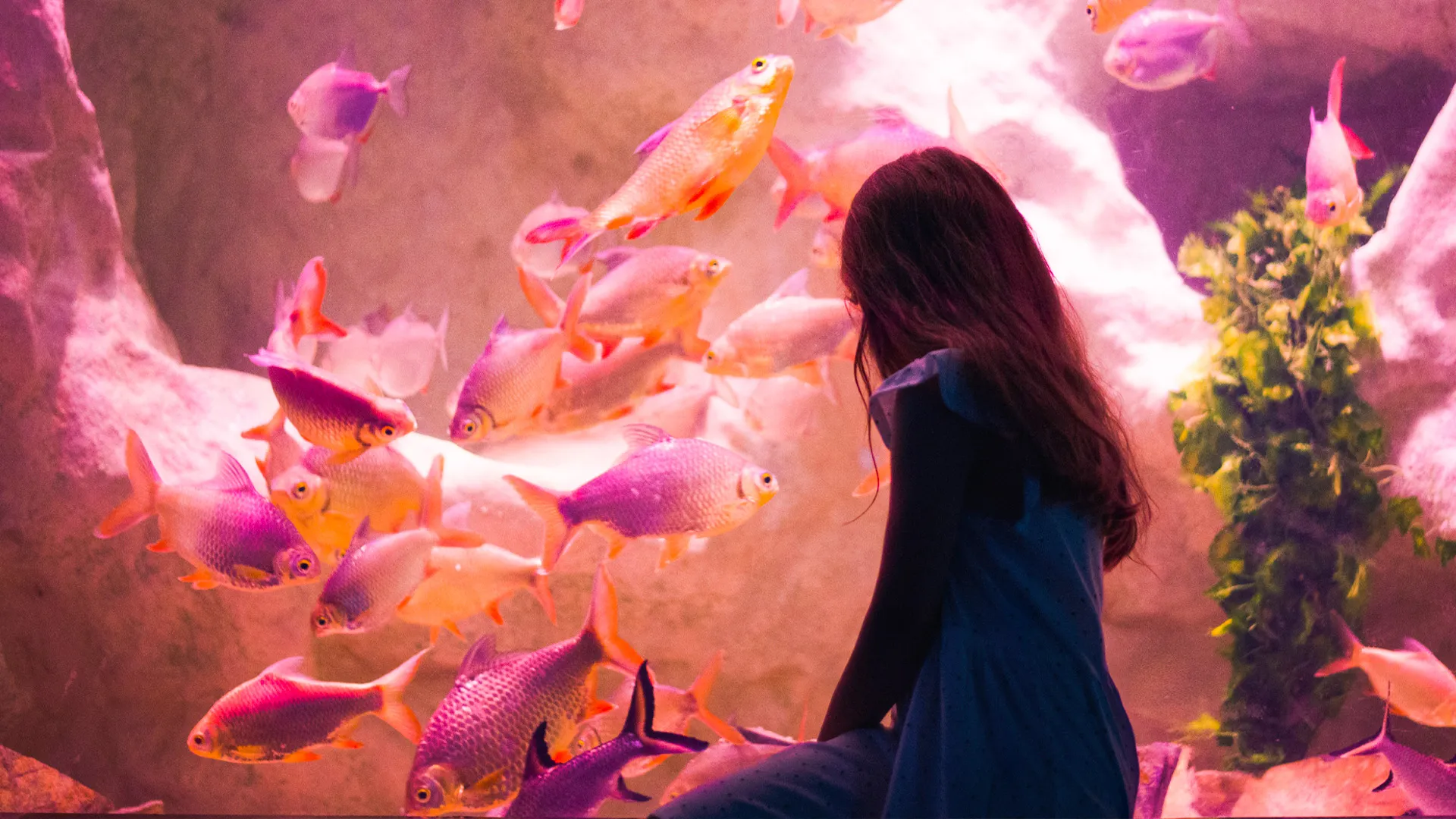  Is the Interactive Aquarium Cancun good for toddlers and young children? 