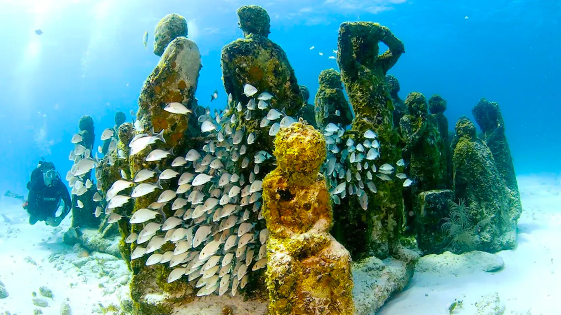 Underwater Museum