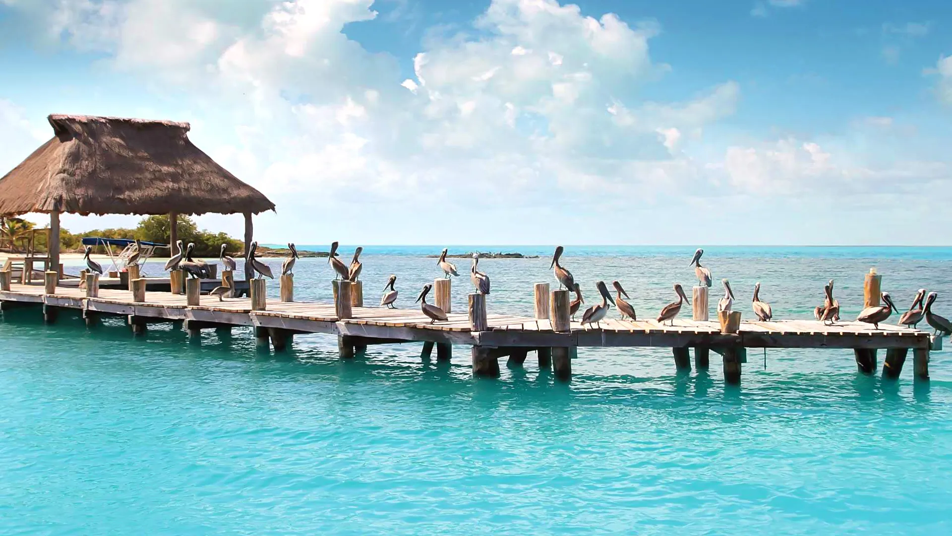 How to Get to Isla Contoy from Cancun or Isla Mujeres