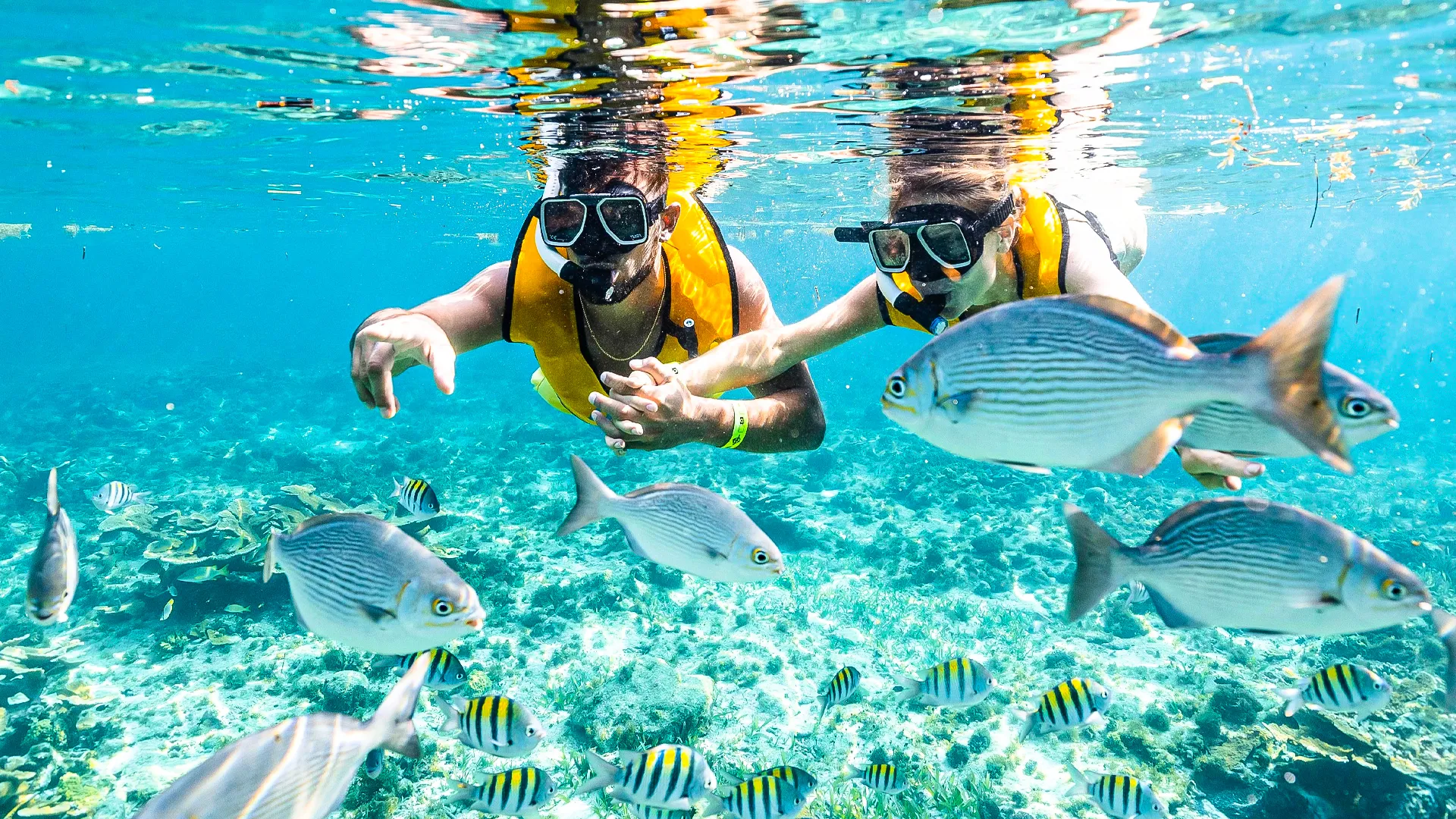  What’s the difference between snorkeling and diving at the Cancun Underwater Museum? 