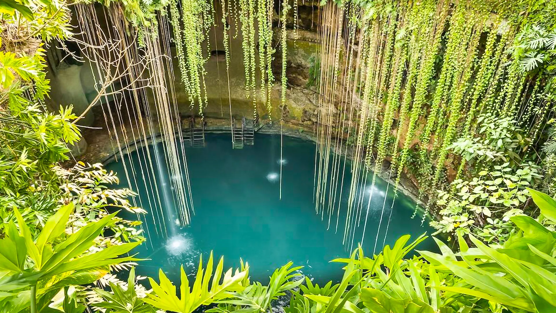Cenote Costs & Fees: What to Expect