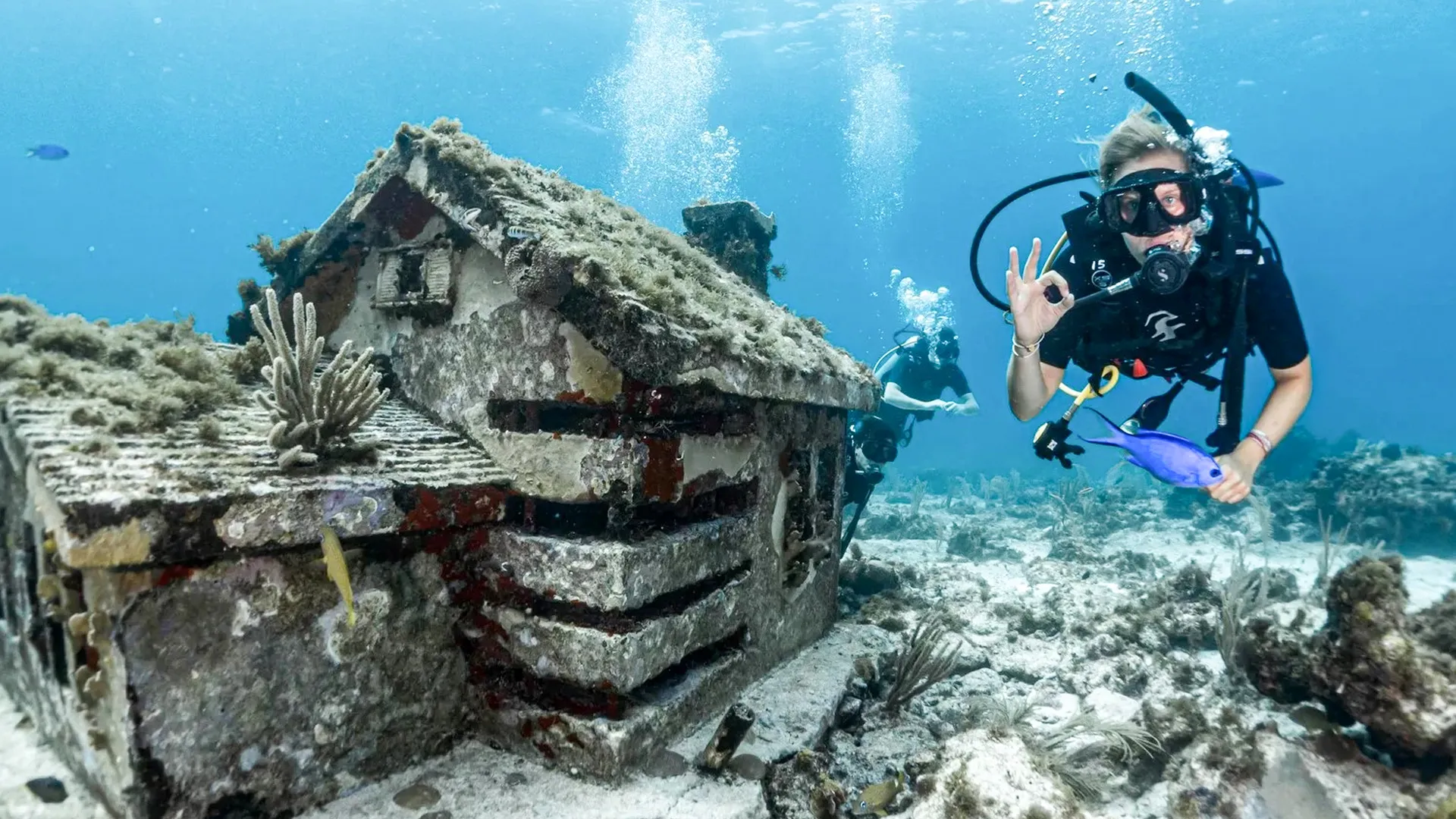 Subsee Explorer vs. Snorkeling vs. Scuba Diving