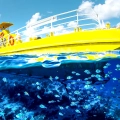 The Ultimate Guide to the Subsee Explorer Cancun: Safe, Family-Friendly Underwater Adventure