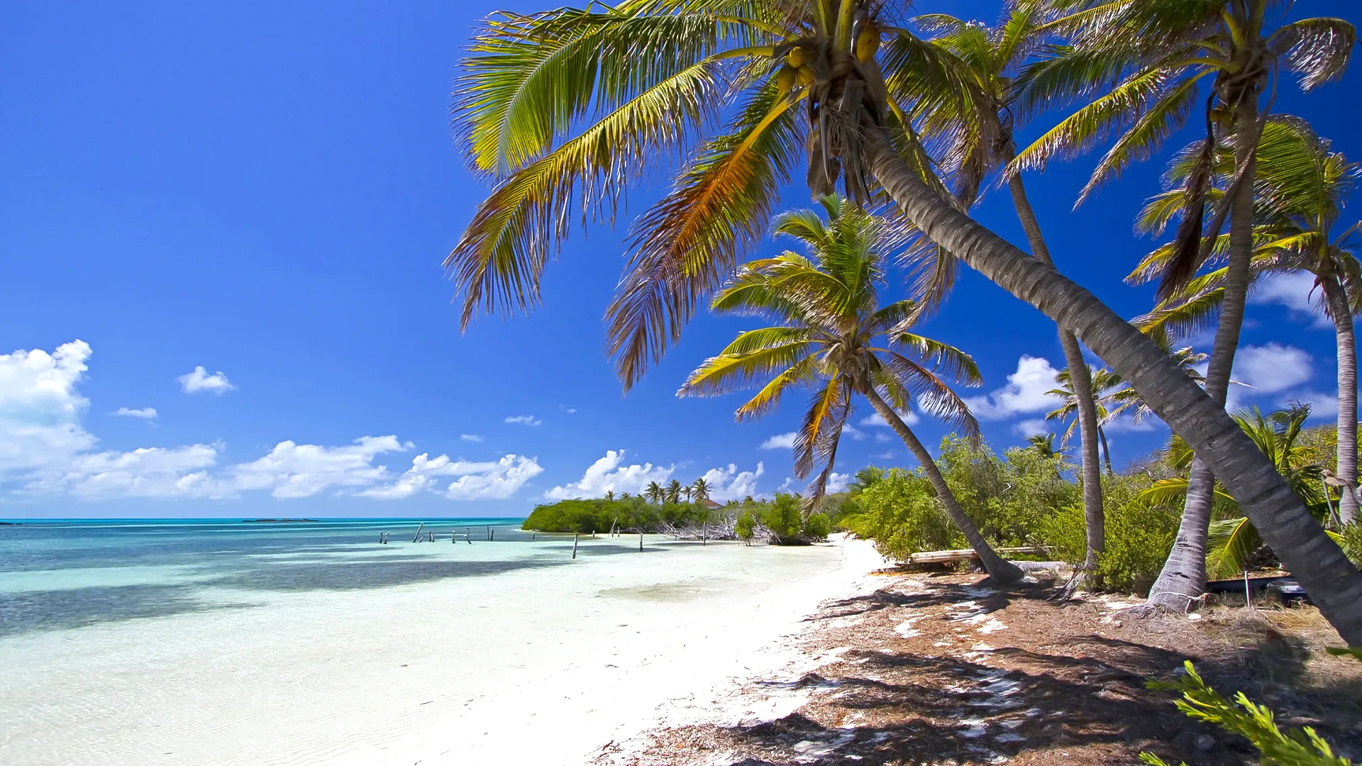 Do I Need a Special Permit to Visit Isla Contoy?