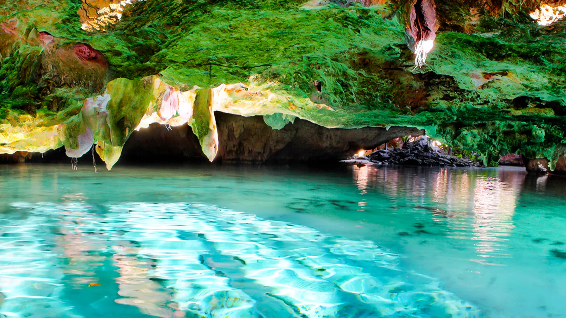 Cenote Adventure Wrap-Up 