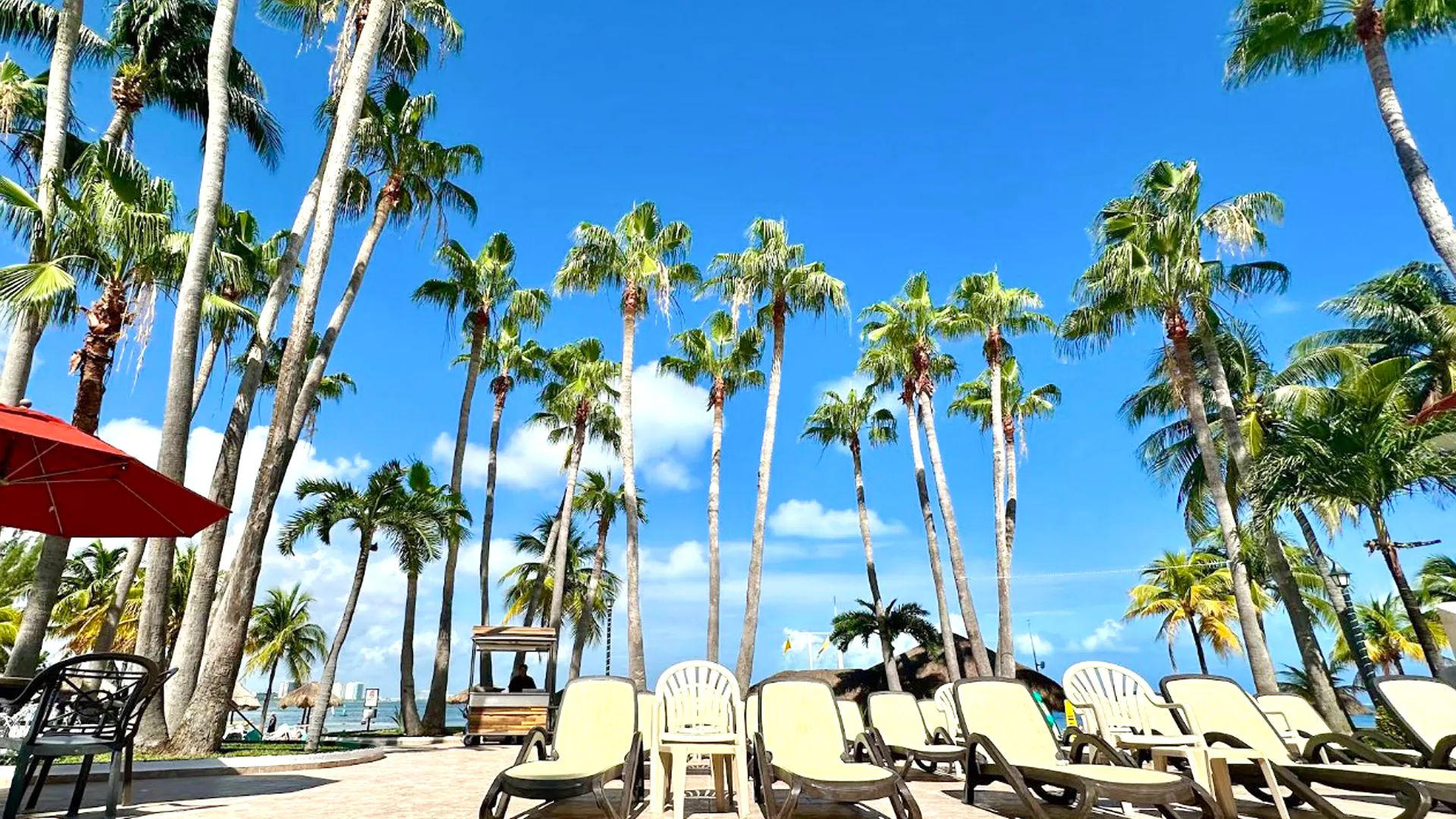 What’s Actually Included in the All-Inclusive Package?