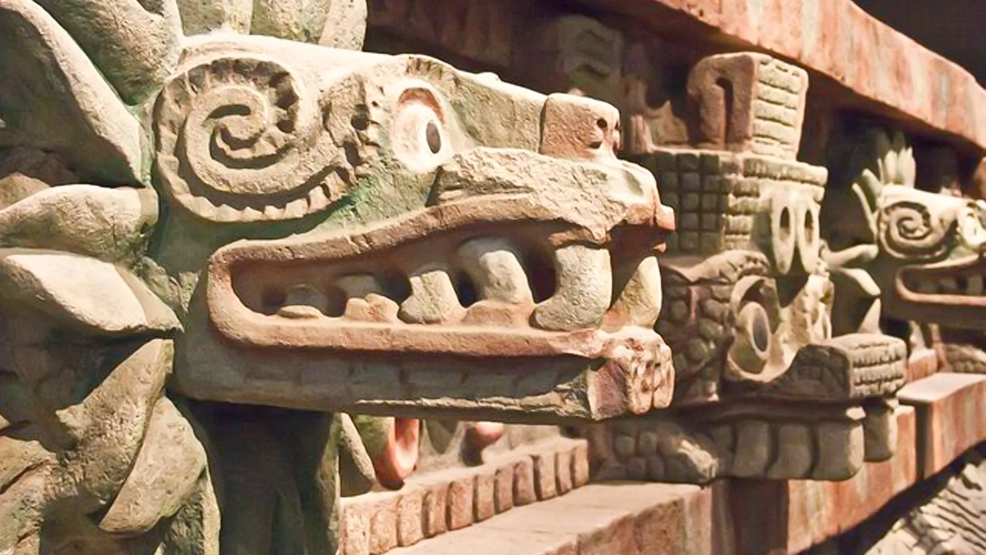 Why Visit the Museo Maya? 