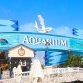 The Ultimate Family Guide to Visiting the Interactive Aquarium Cancun (+ Nearby Fun!)