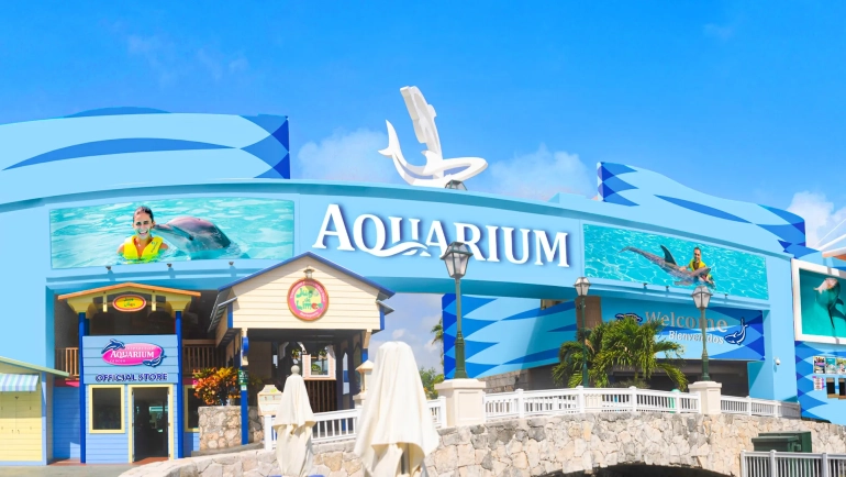The Ultimate Family Guide to Visiting the Interactive Aquarium Cancun (+ Nearby Fun!)