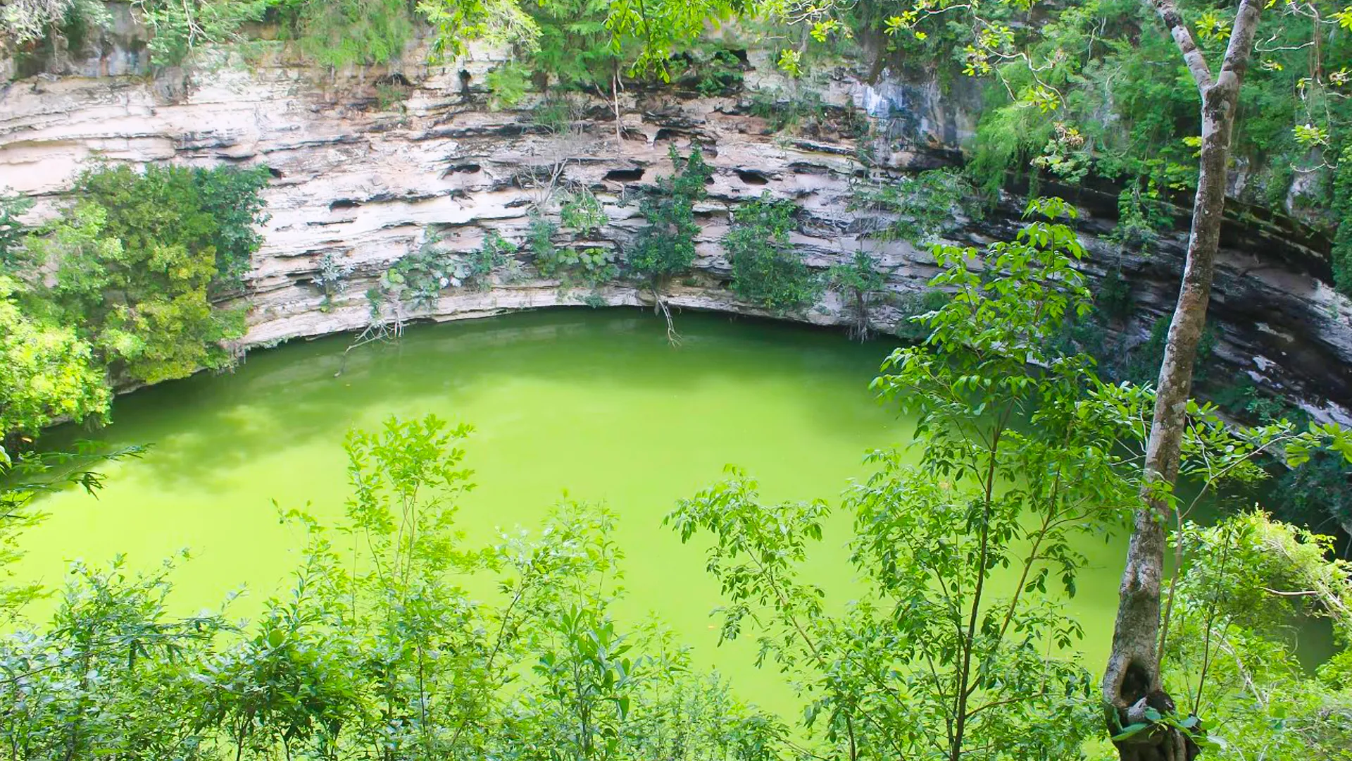  Nearby Cenotes to Visit