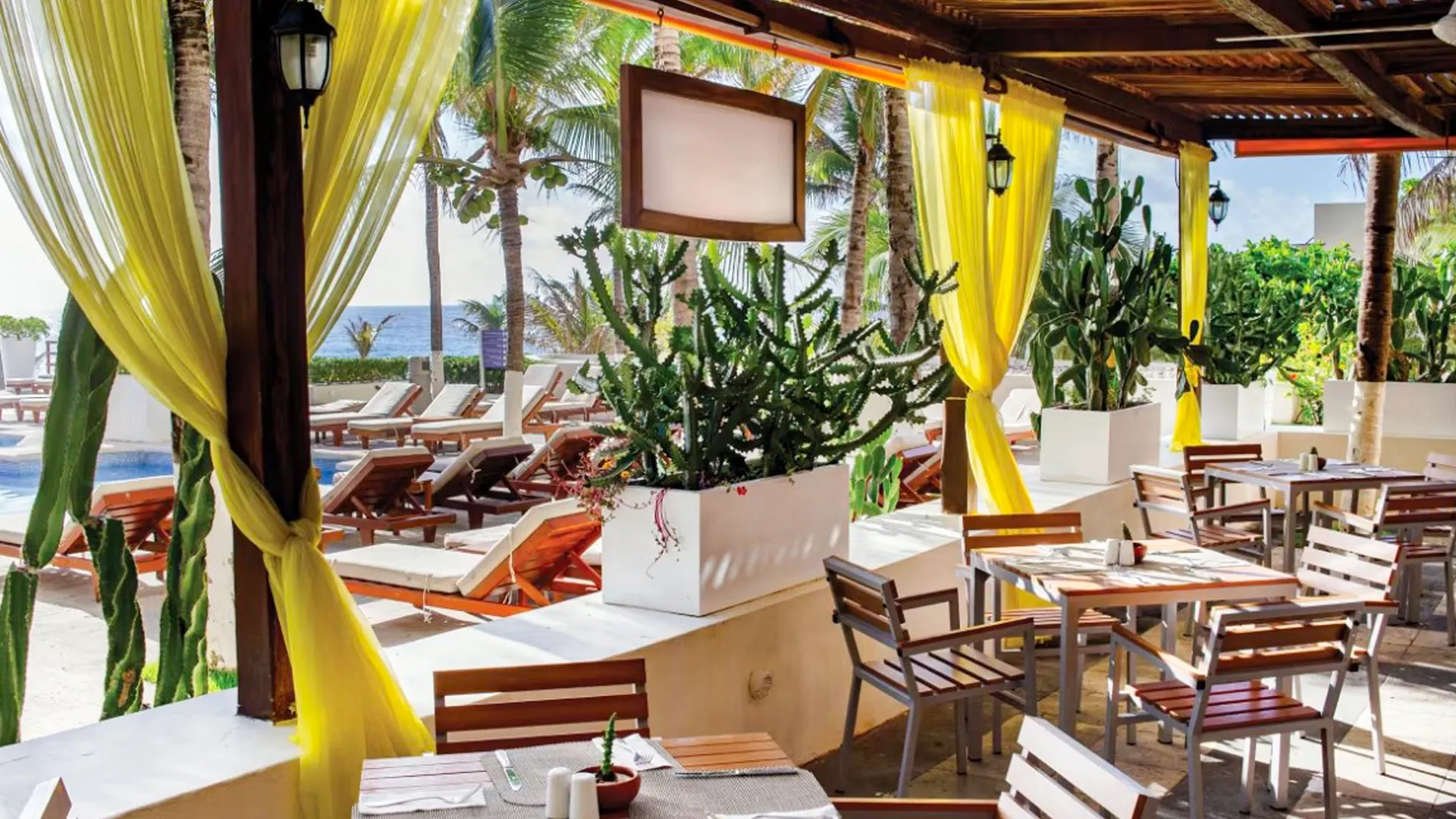 Food, Drinks & Dining Experience
