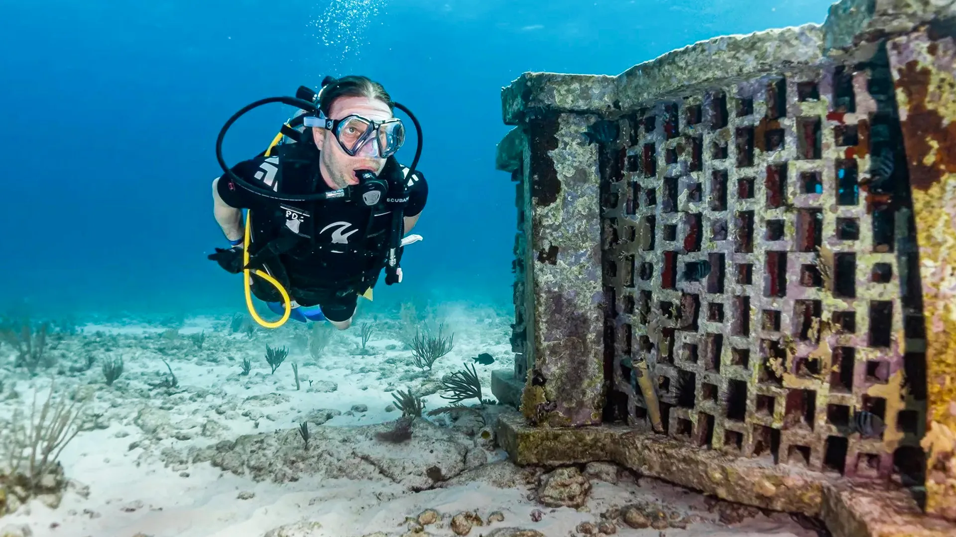  How the Sculptures Create New Reef Habitats