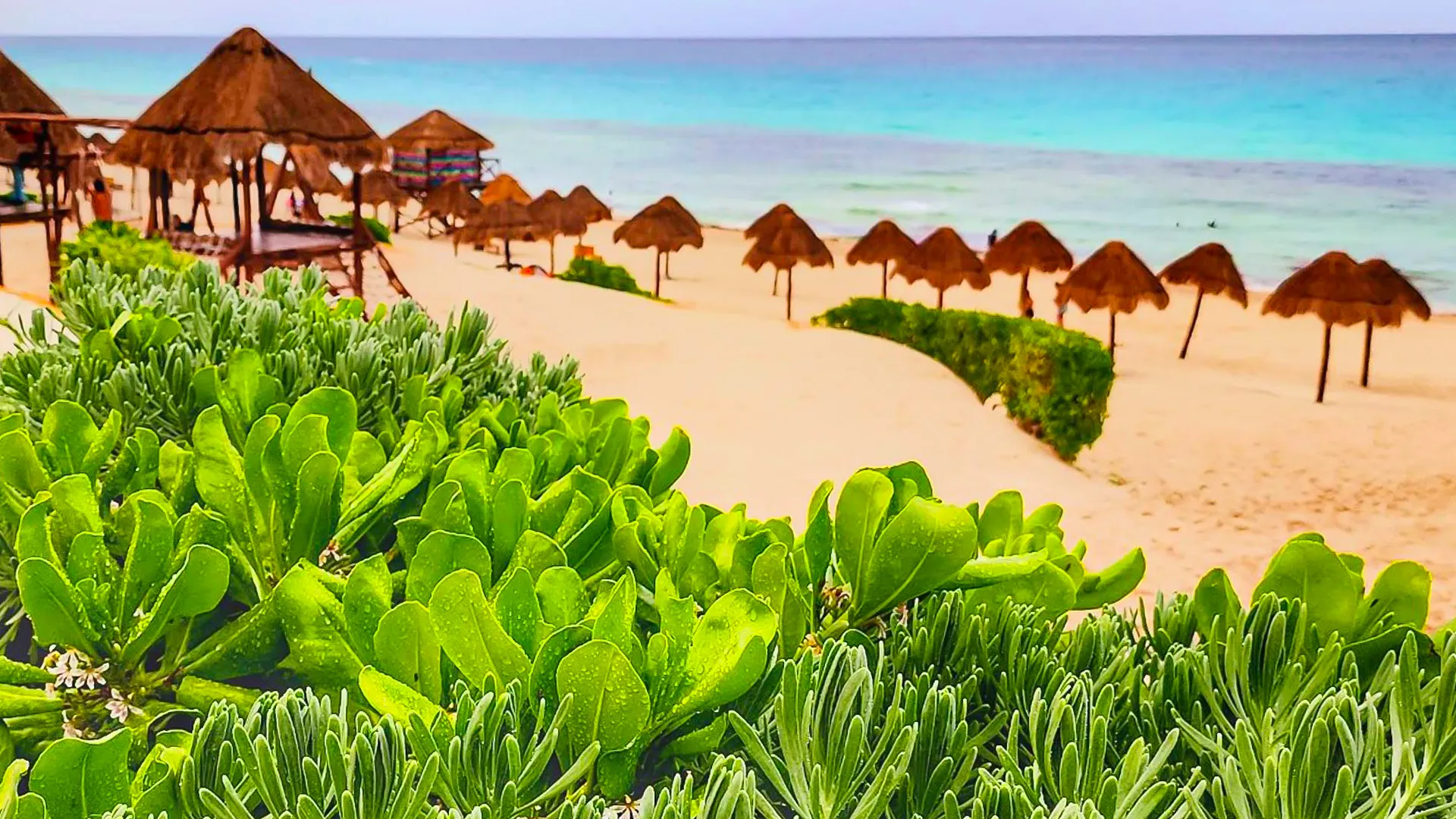 What is the best time to visit Playa Delfines for photos?