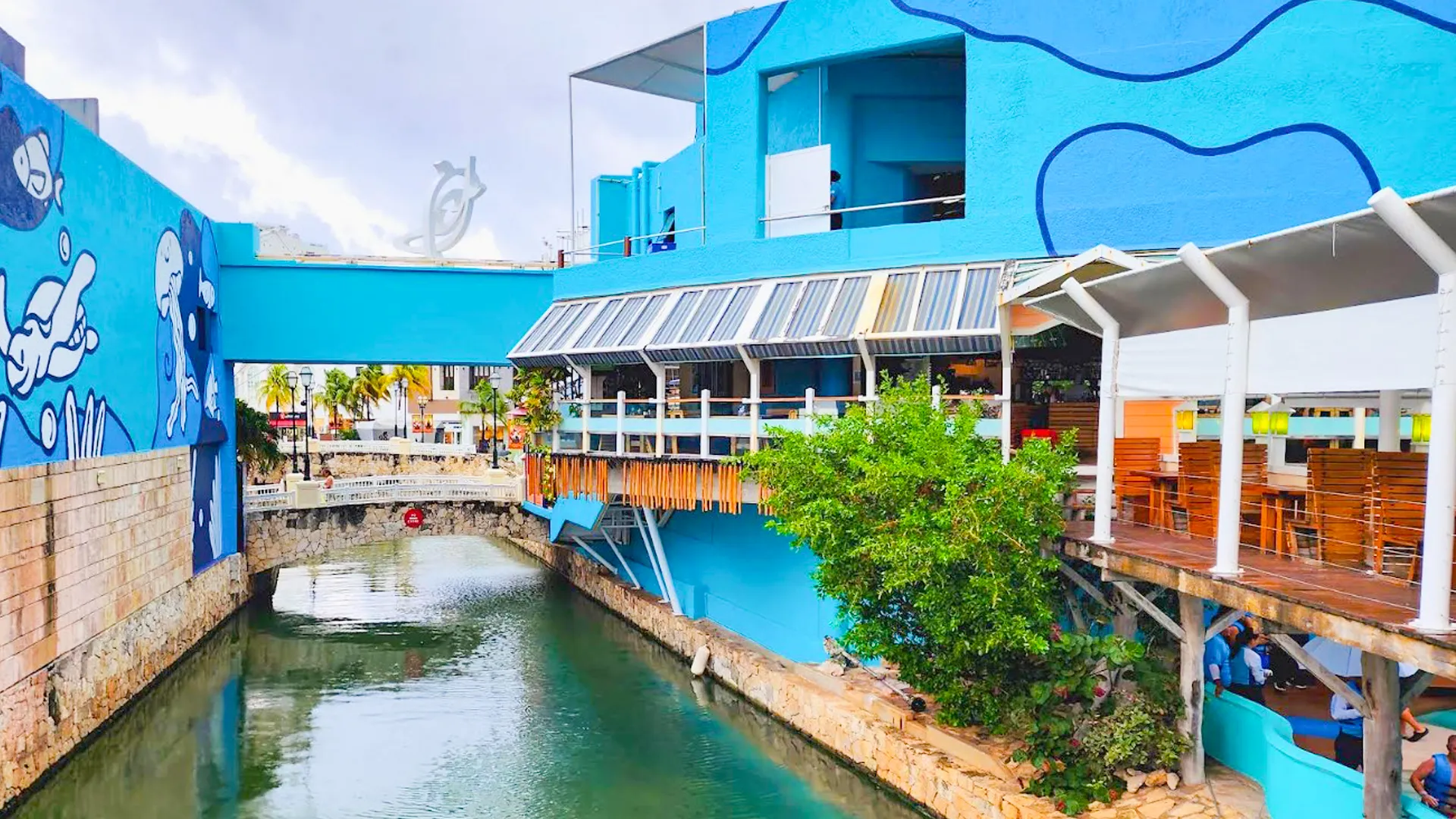 Interactive Aquarium Cancun: A Memorable, Affordable Family Experience—Rain or Shine