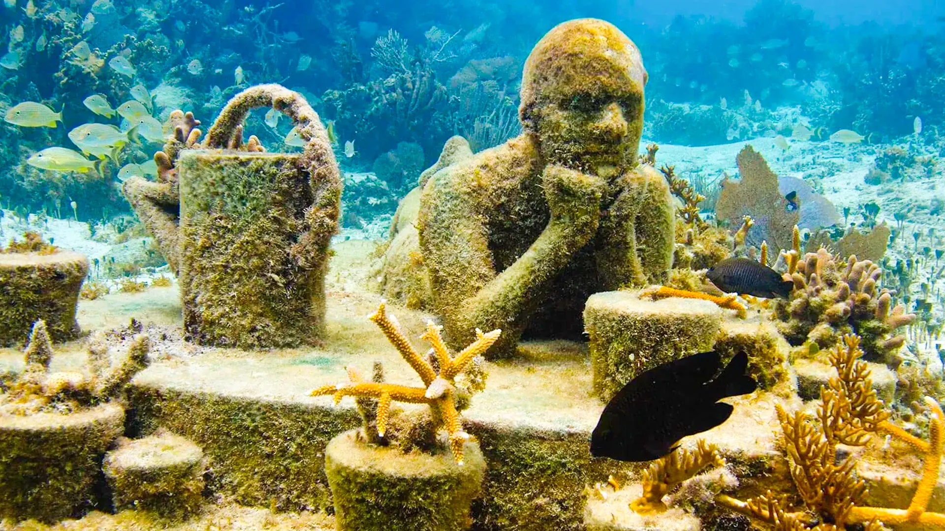 Cancun Underwater Museum