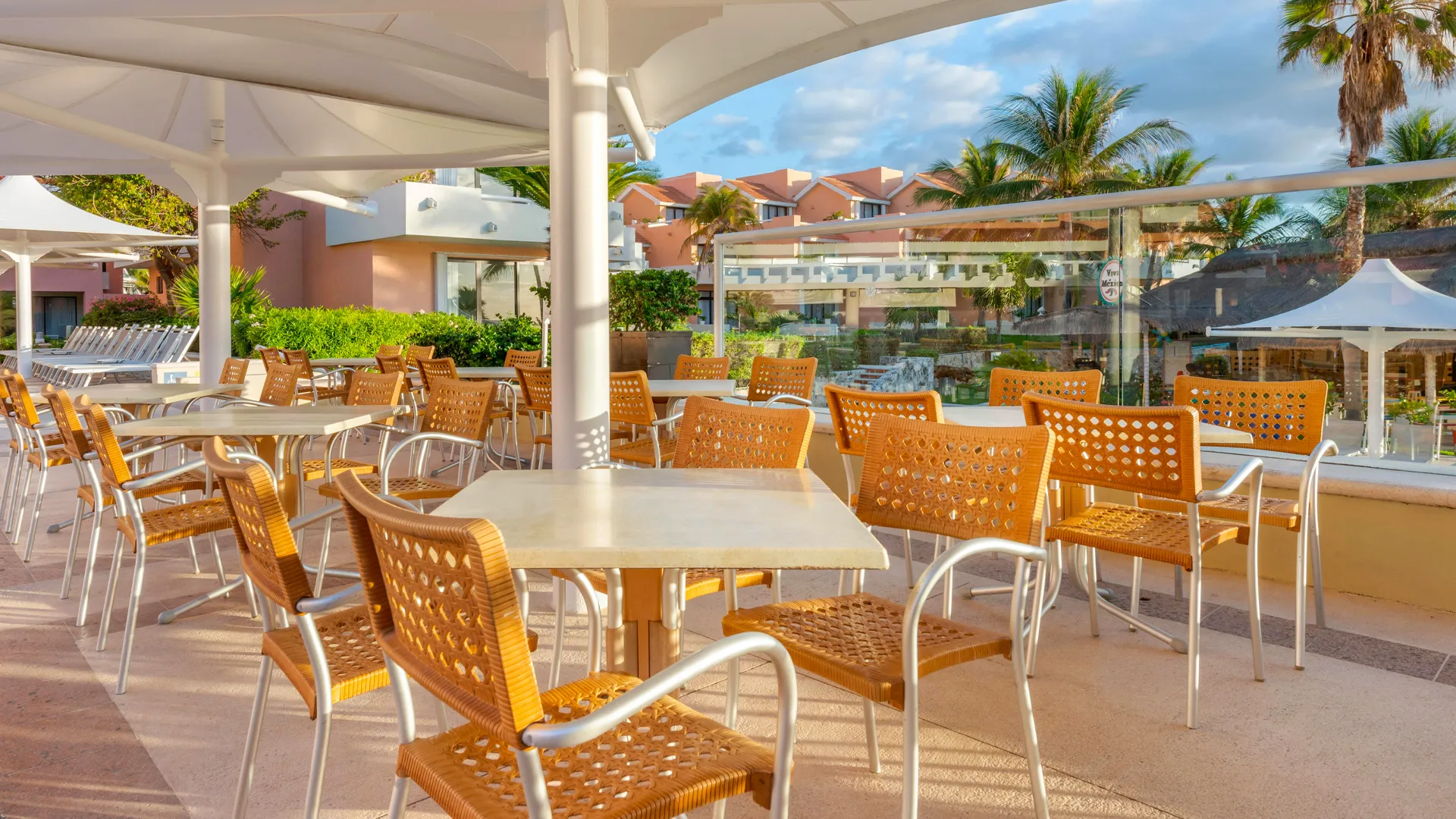 Dining and Drink Options