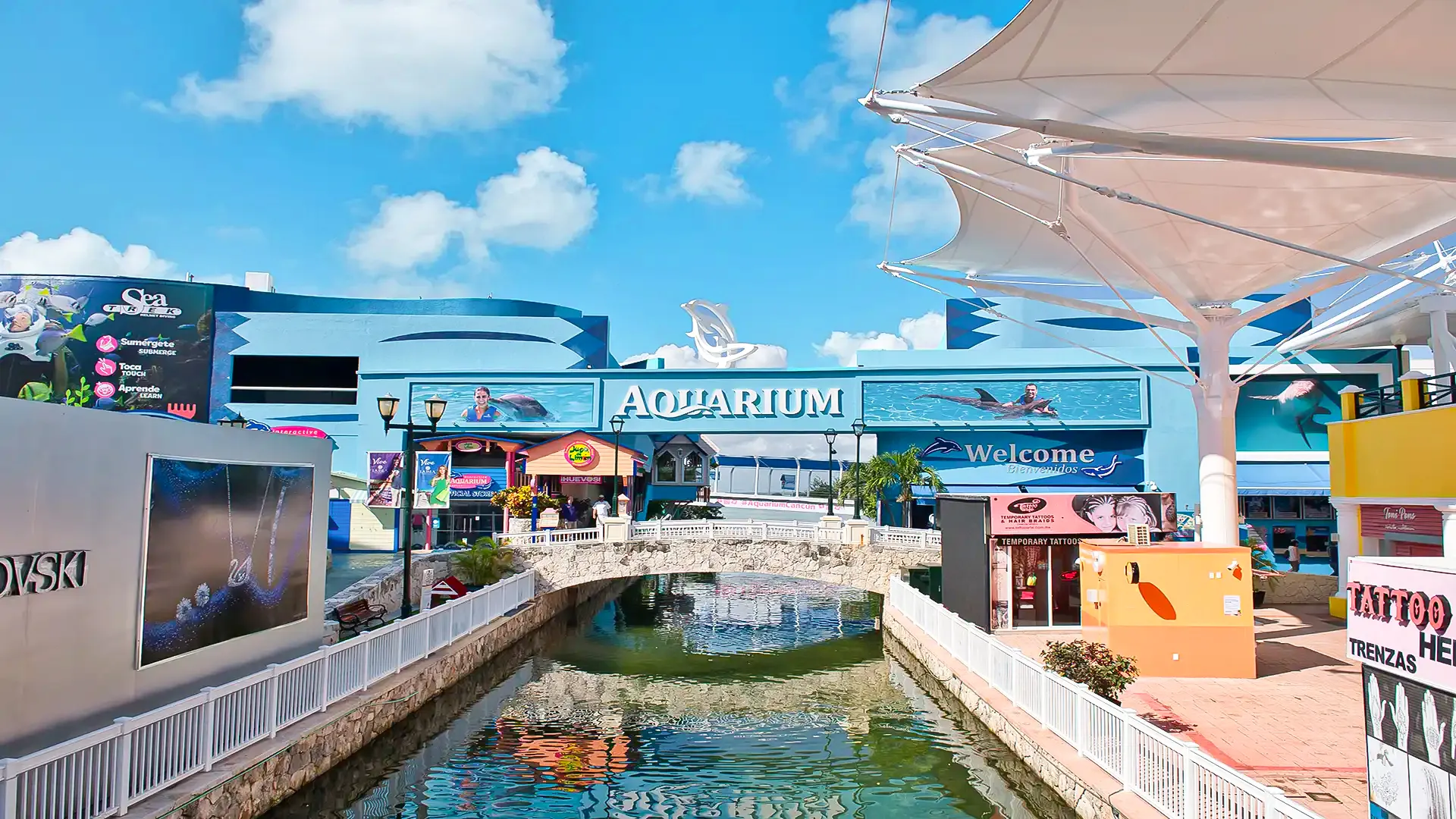Interactive Aquarium