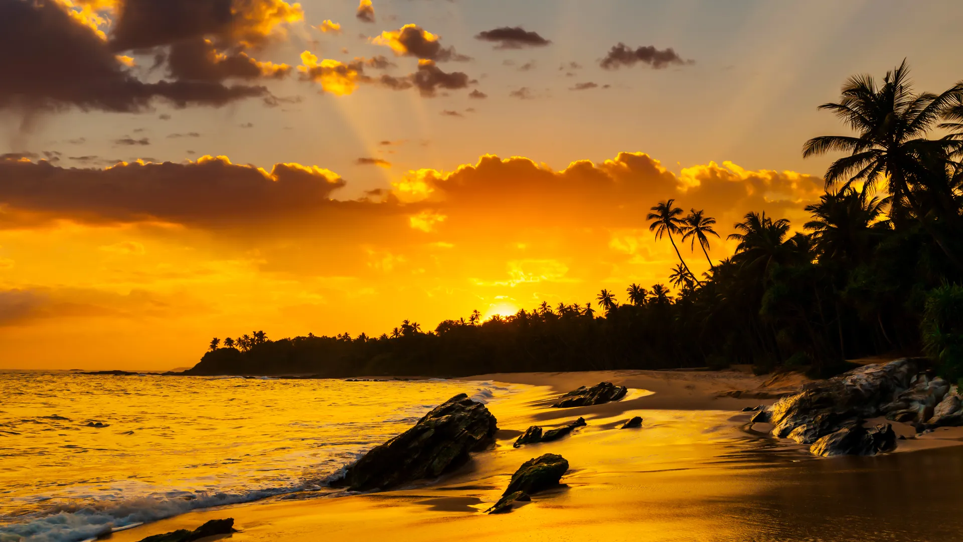 Best Camera Settings for Sunset Photography