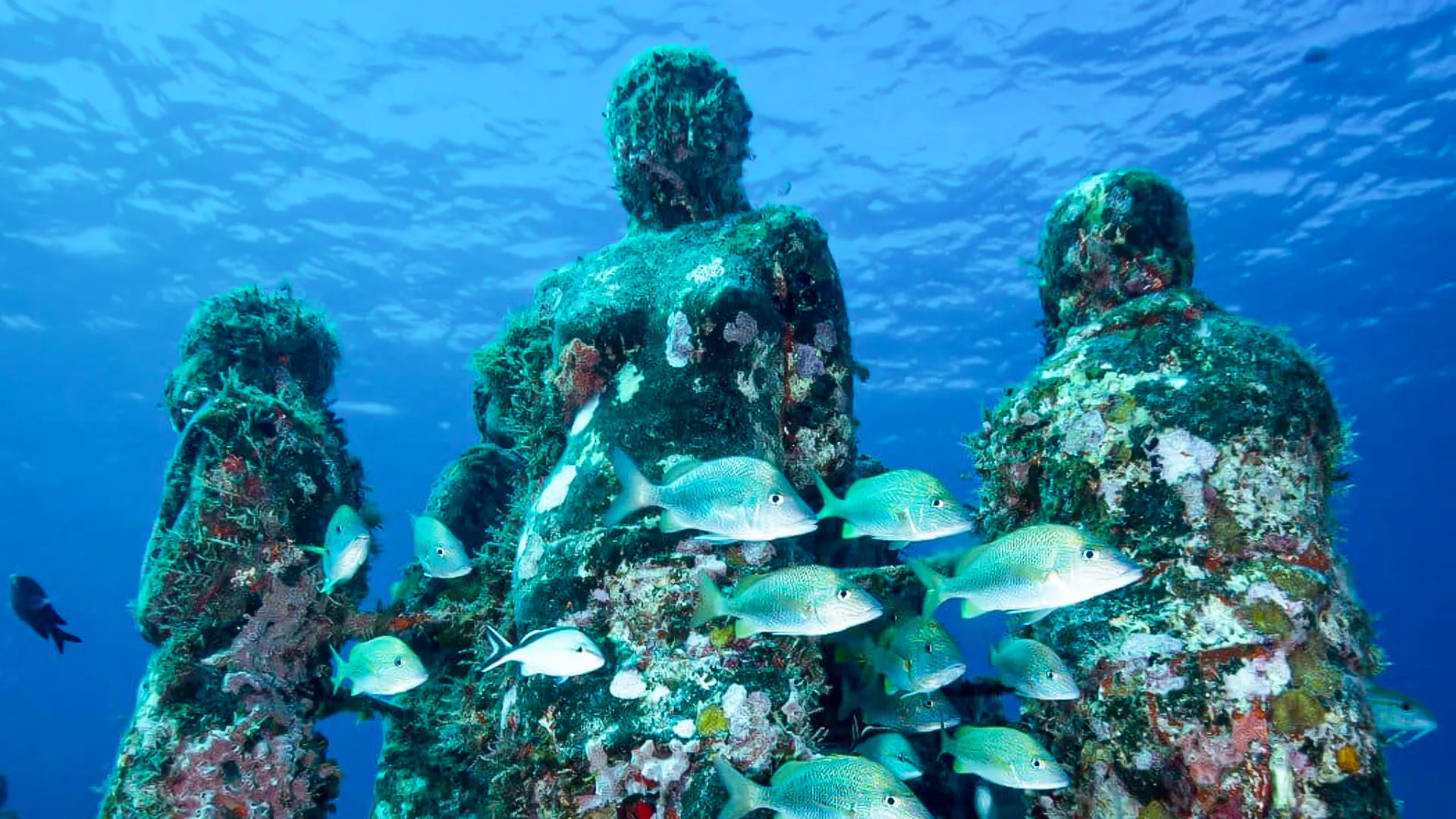 Cancun Underwater Museum