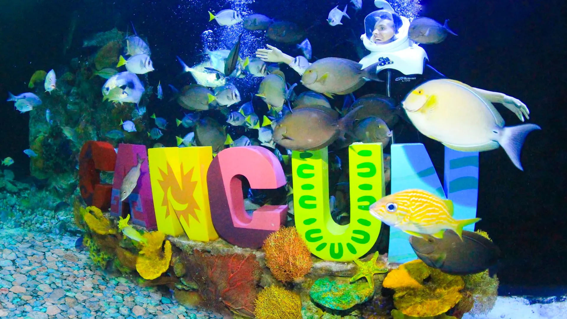 Interactive Aquarium