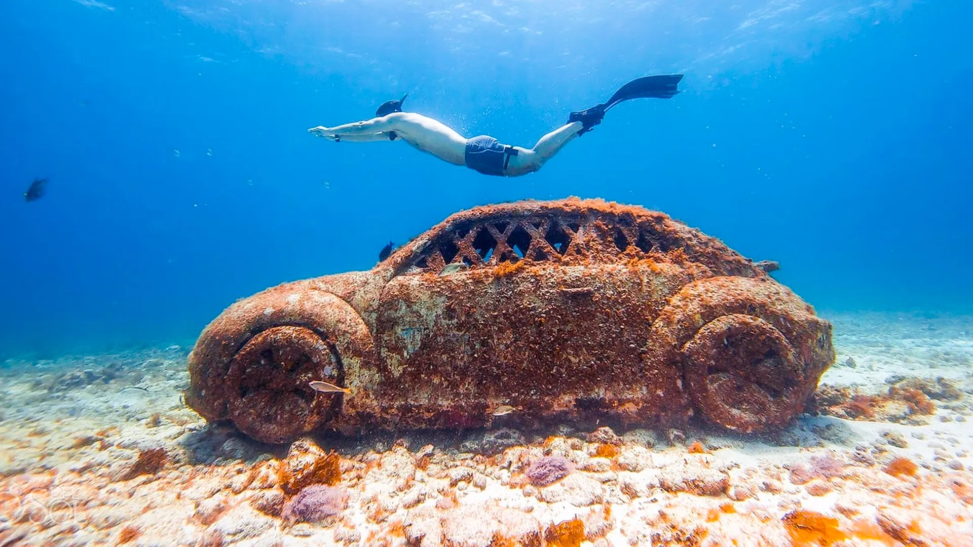 An underwater sculpture of an old car covered in marine growth, with a scuba diver swimming above it on a sandy ocean floor.