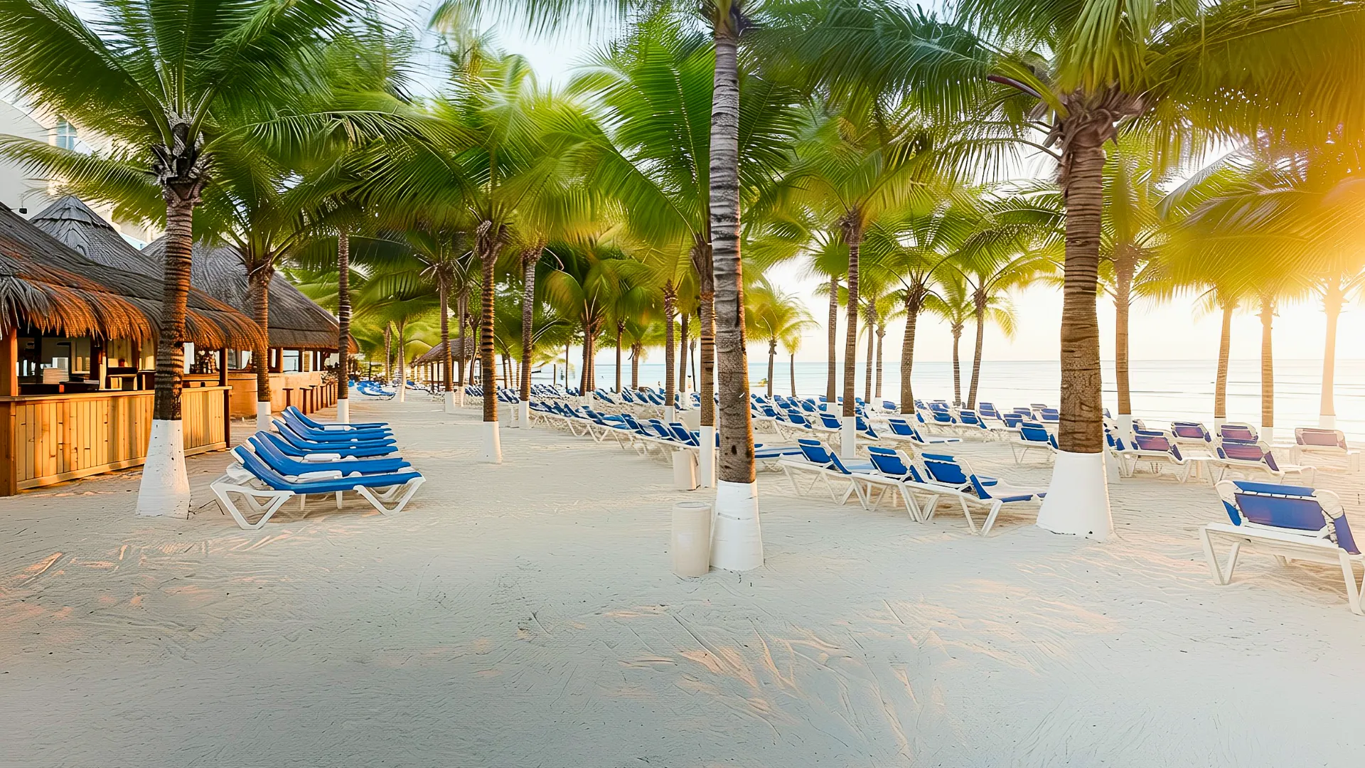 Beachfront area of Occidental Costa Cancun with palm trees and beach chairs.