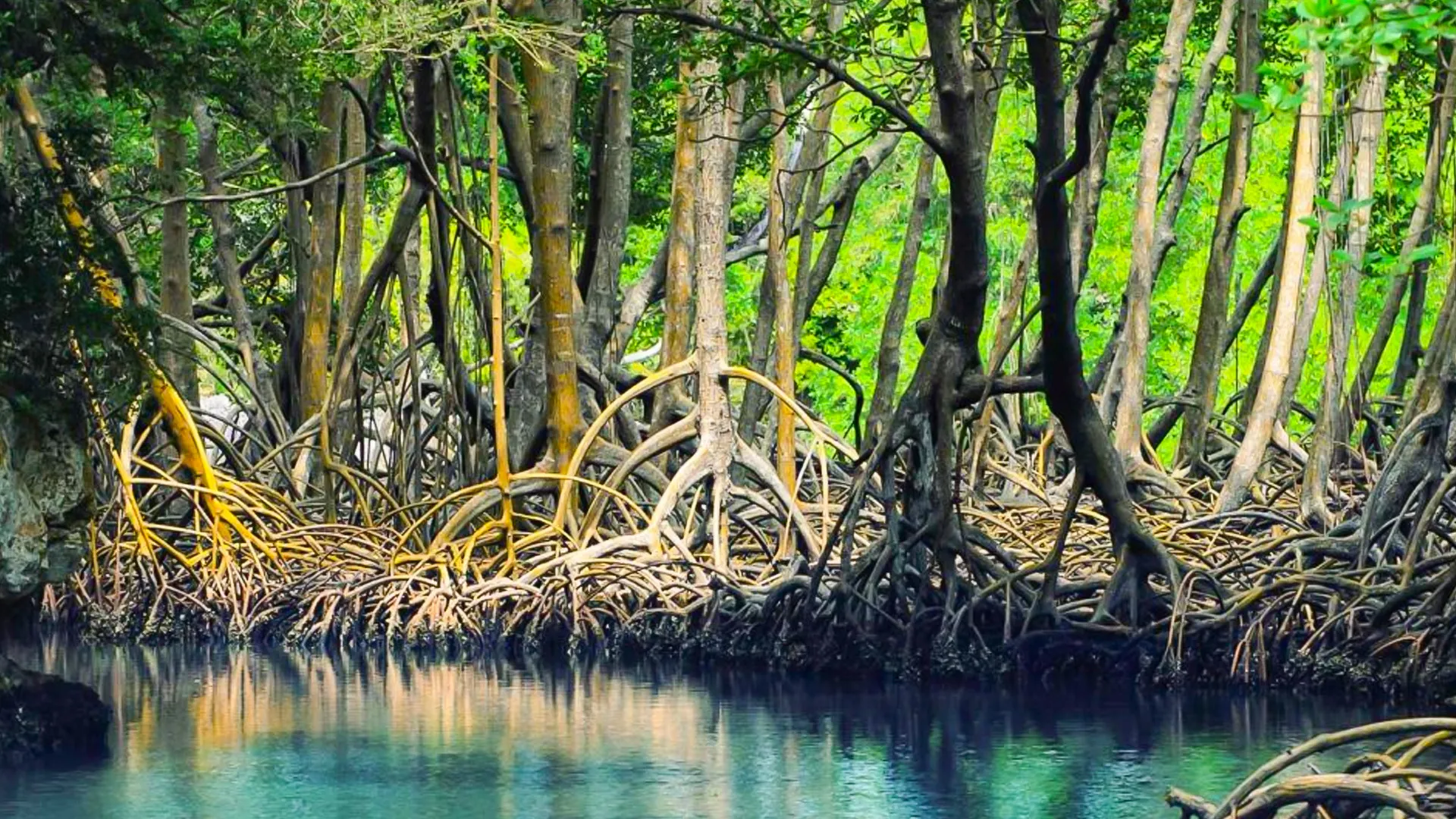Nichupté Lagoon