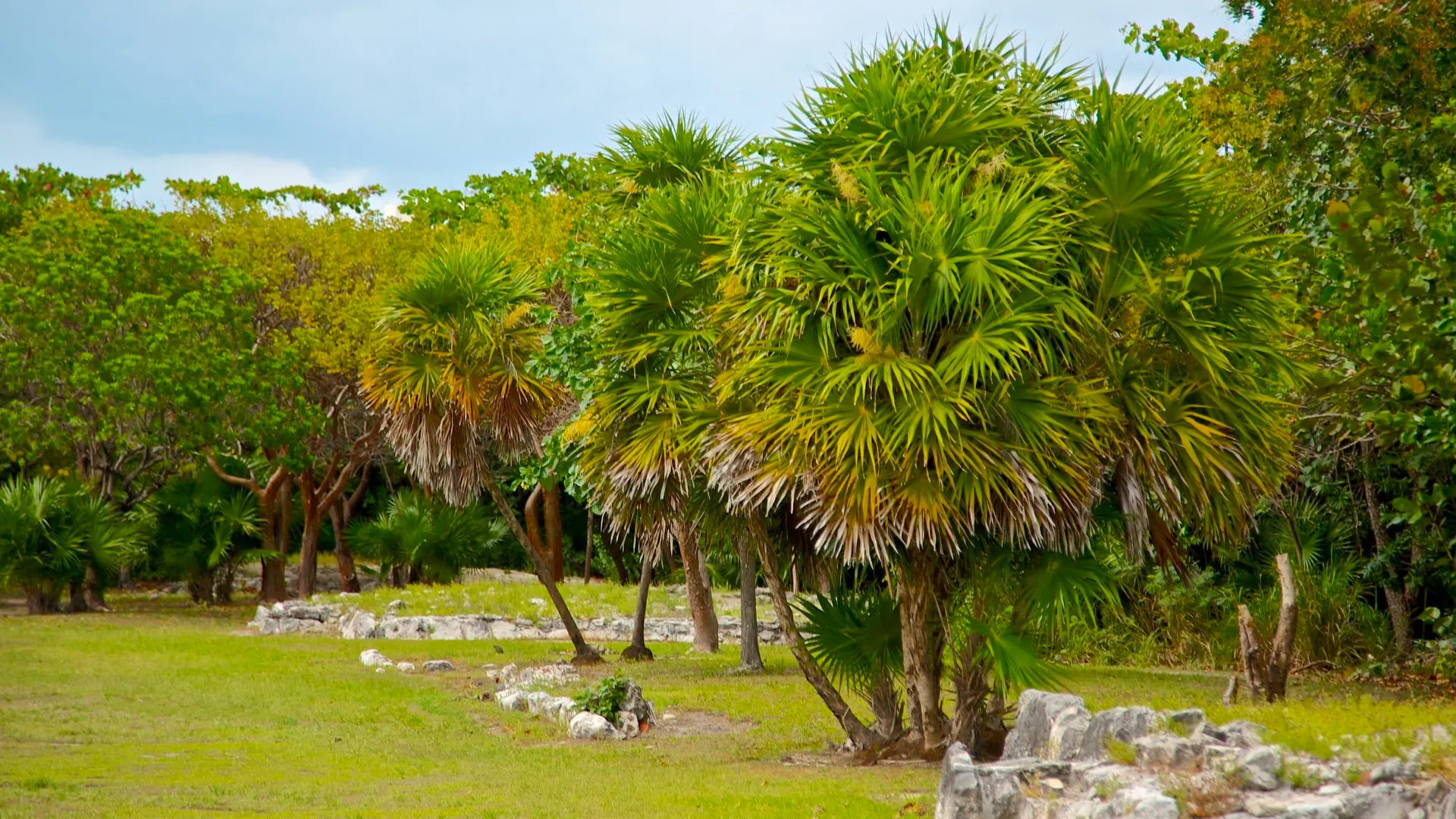 El Rey Ruins