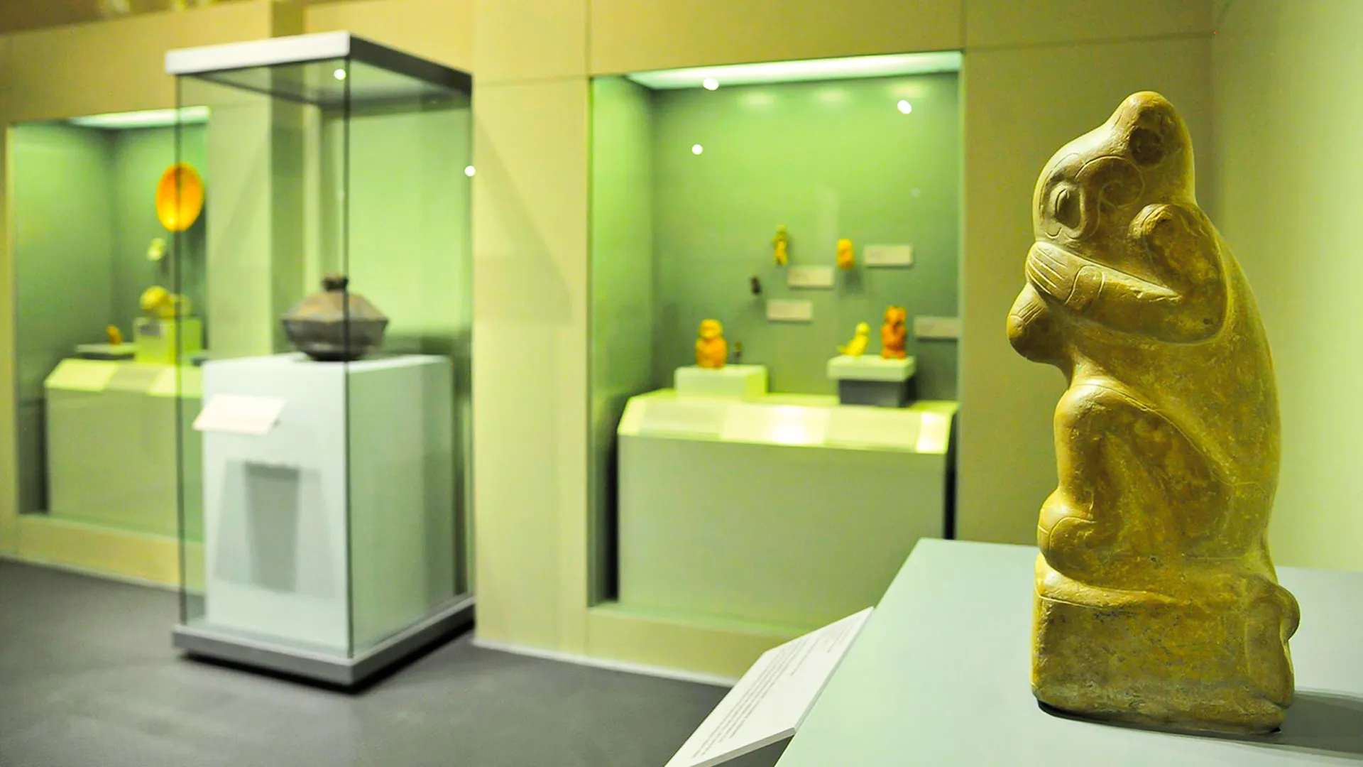 Museo Maya