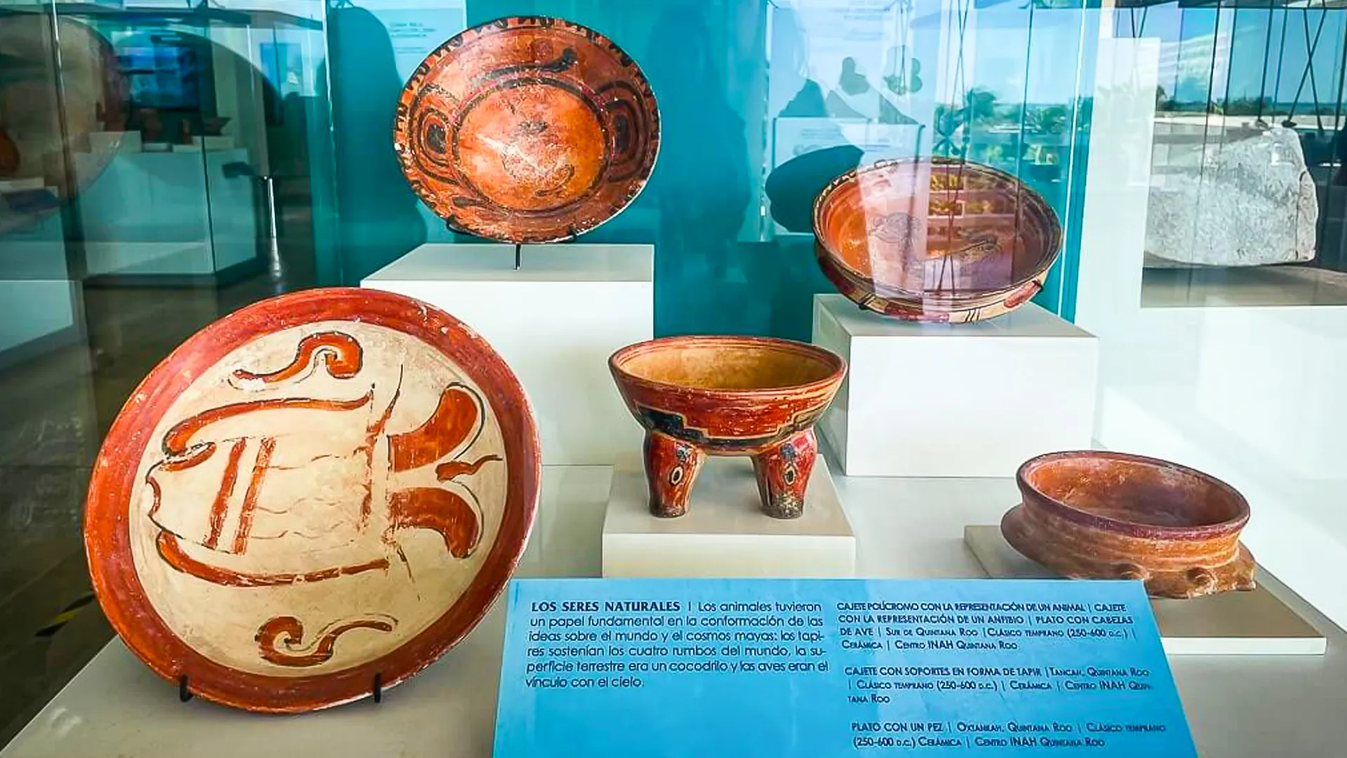 Museo Maya