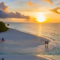 A couple and a family walk along a serene, sunlit beach at sunset, with golden skies and gentle waves.
